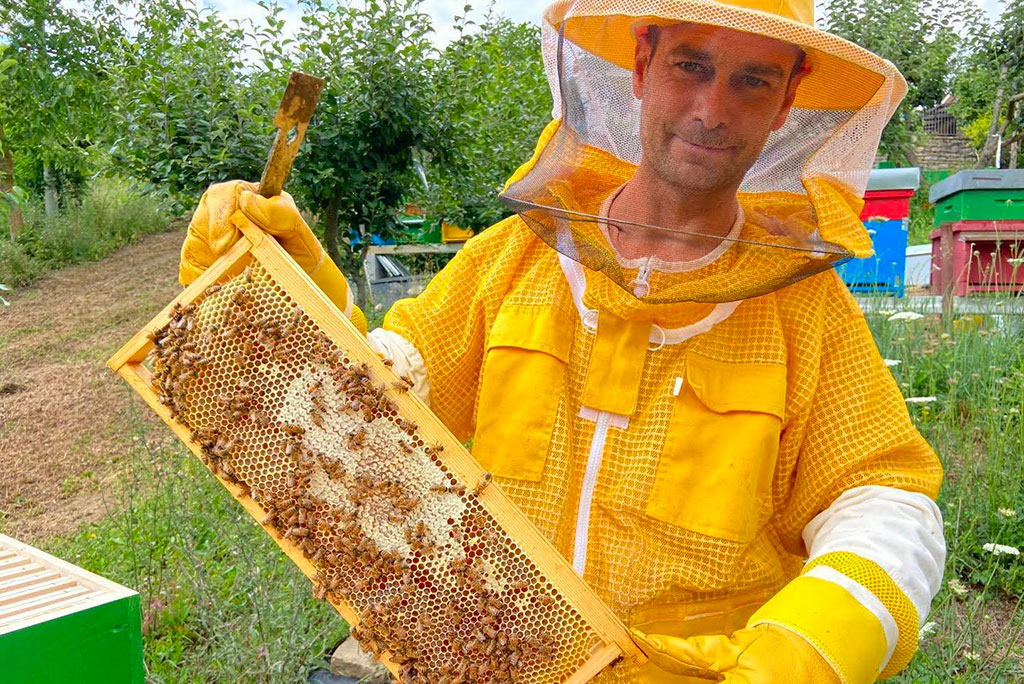 Masseria Acquasalsa Isernia | La fattoria didattica - Apiturismo – apicoltori per un giorno