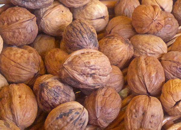 Masseria Acquasalsa Isernia | Noci biologiche